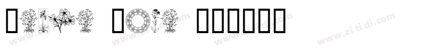 Garda Nova II字体转换